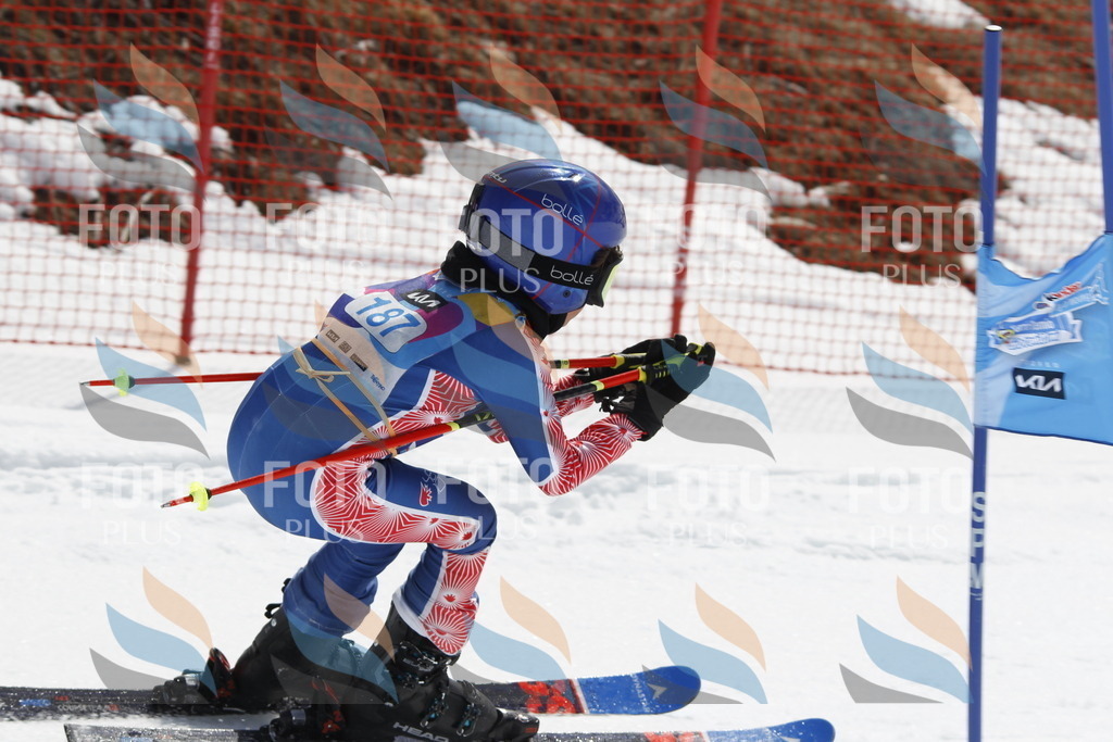 _U3G1860 | holidayphoto