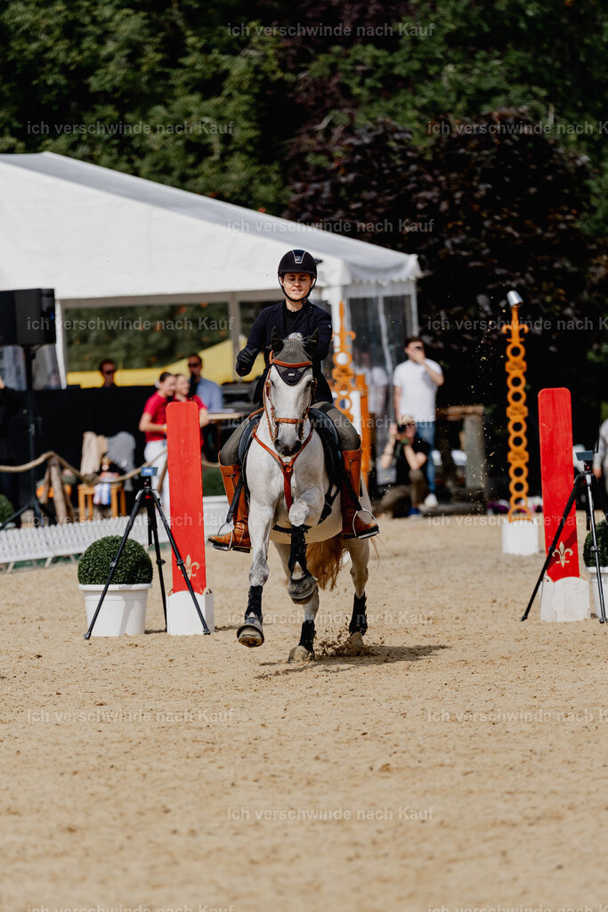 Svea13FHC2025-2885 | working equitationturnier fotograf videograf stoibphotography marixx film working equitation deutschland reitsport turnierfotografie eventfotografie equestrian events