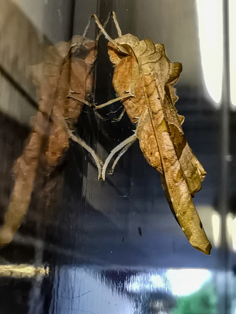 PSX_20230901_235658 | mtkfoto_ - Realisiert mit Pictrs.com