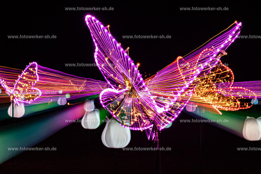 211210-VW-IS6A4558 | Fotowerker-sh - Realisiert mit Pictrs.com