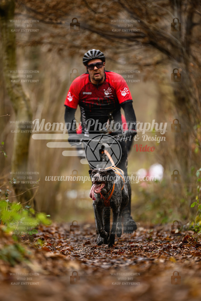 MompixPhotography_Eschau2024_DS1-18 | PayLife