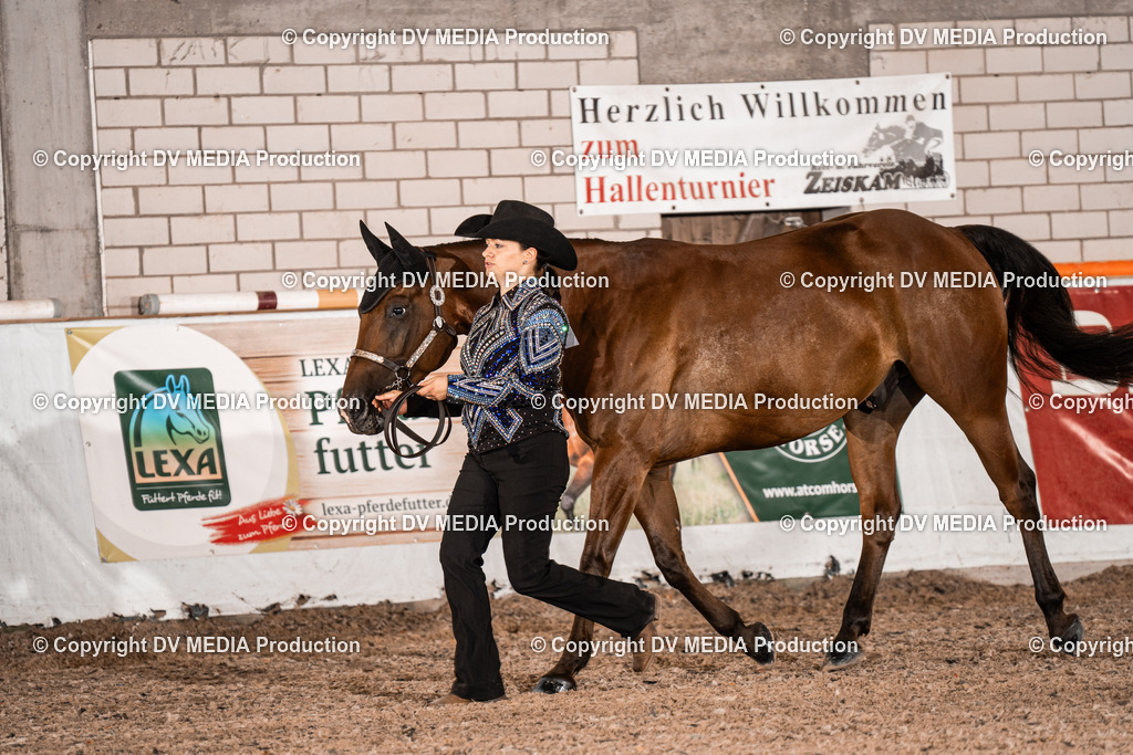 ZH200046 | dv-media-shop - Realisiert mit Pictrs.com