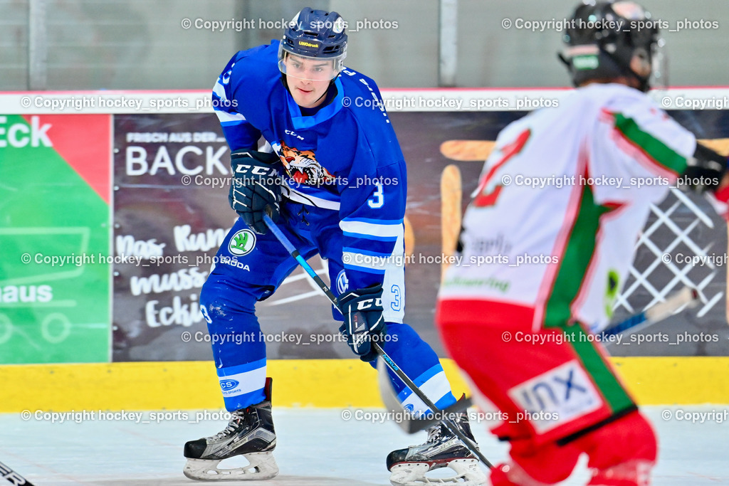 BST_9364 | hockey sports photos, Pressefotos, Sportfotos, hockey247, win 2day icehockeyleague, Handball Austria, Floorball Austria, ÖVV, Kärntner Eishockeyverband, KEHV, KFV, Kärntner Fussballverband, Österreichischer Volleyballverband, Alps Hockey League, ÖFB, 