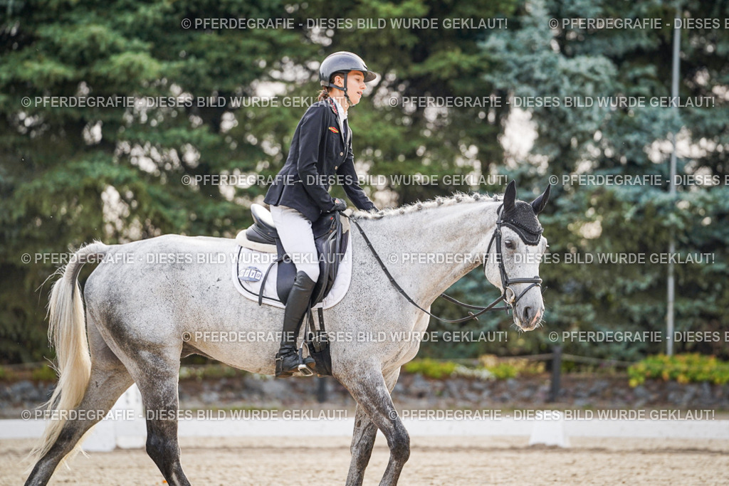 DSC00139 | Pferdegrafie