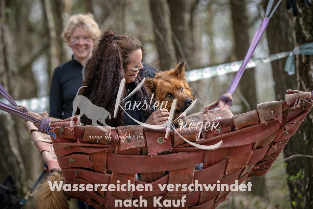 1215DSC_1109 | kk-dogfotos