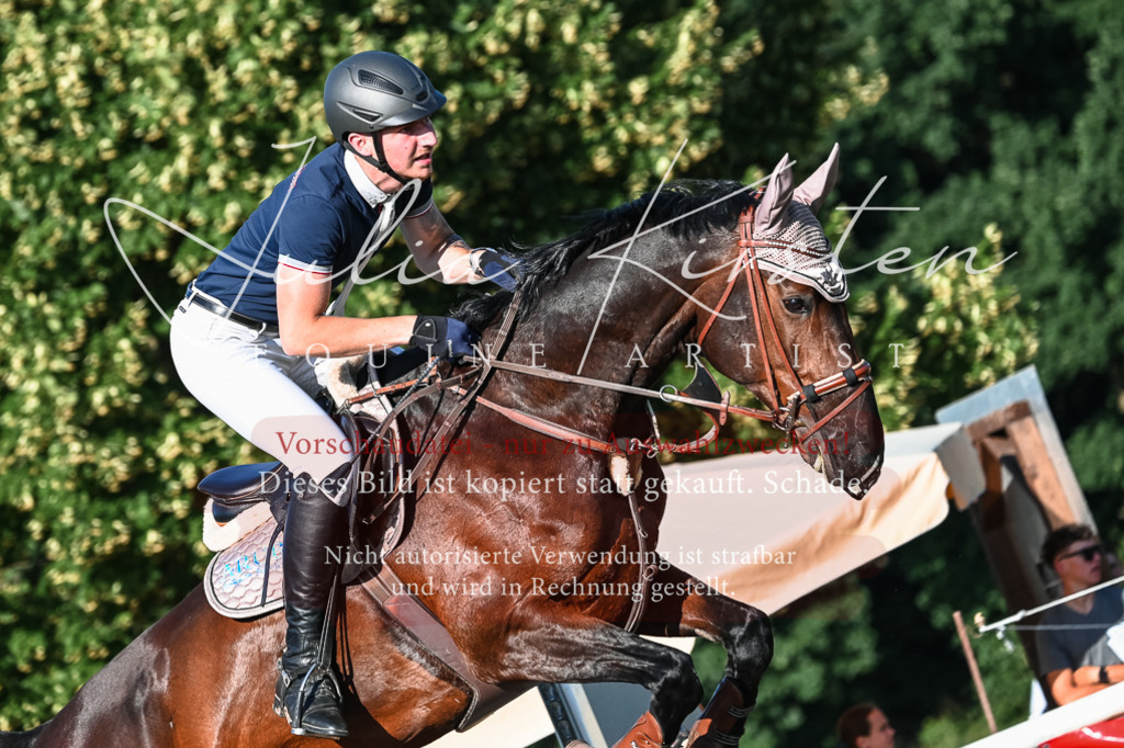 DSC_2946 | Pferde- und Turnierfotografie in Westsachsen. Pferdeportraits, Auftragszeichnungen und intuitive Kunst.