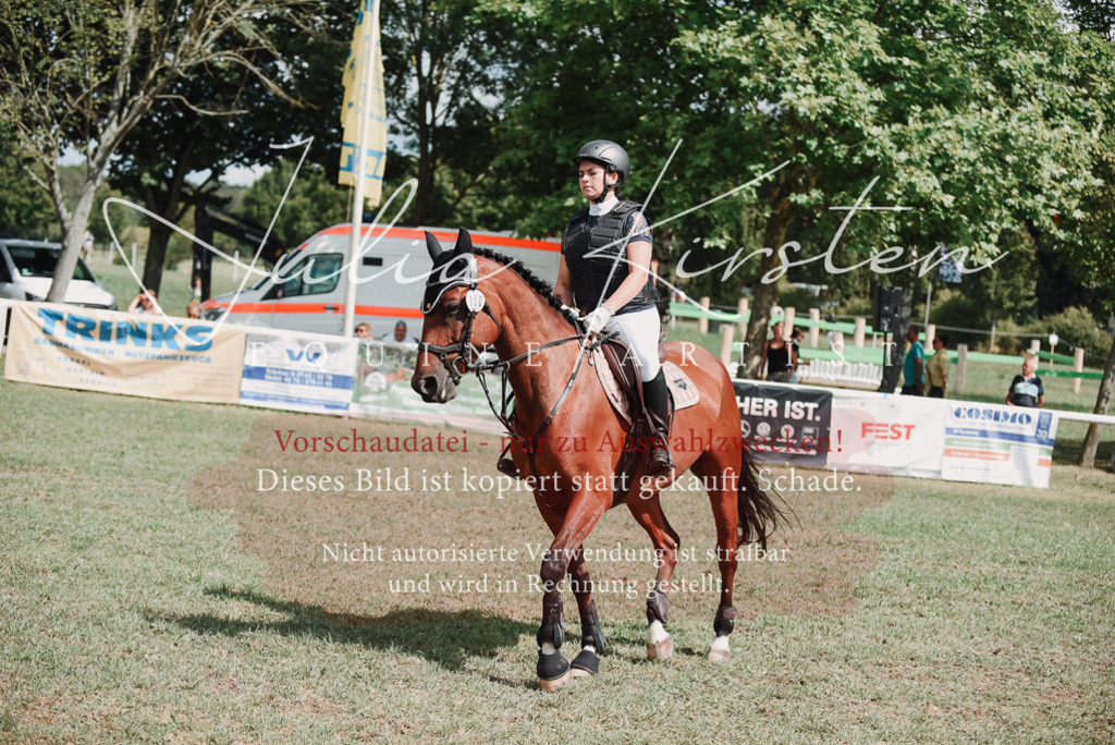 DSC_5676 | Pferde- und Turnierfotografie in Westsachsen. Pferdeportraits, Auftragszeichnungen und intuitive Kunst.