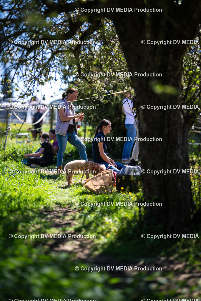 Z91_6182 | dv-media-shop - Realisiert mit Pictrs.com