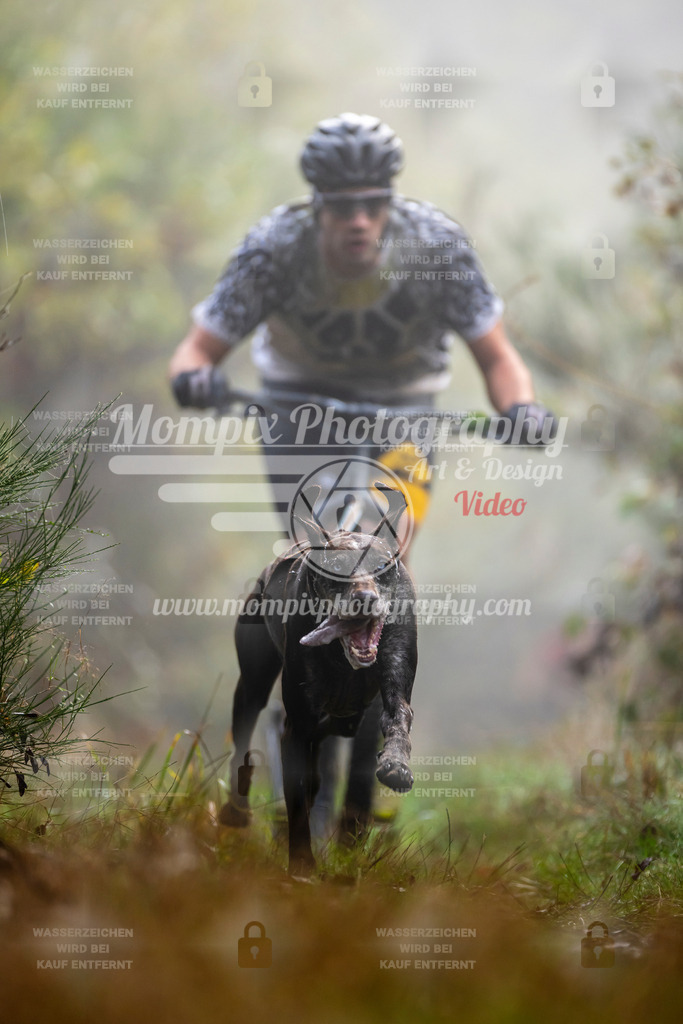 MompixPhotography_20TSB_E4_DS1-1 | PayLife