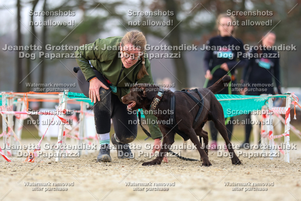 Dog Paparazzi - Strongdog North Mrz26-4138 | Dog Paparazzi Jeanette Grottendiek Fotografie & Videografie - Realisiert mit Pictrs.com