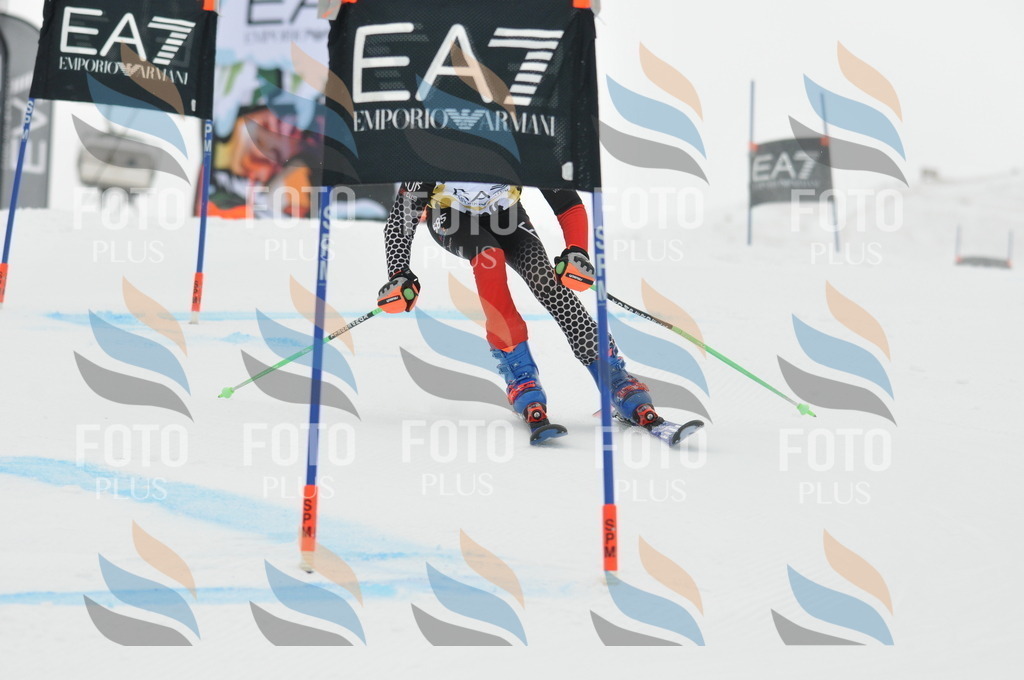 DSC_8247 | holidayphoto