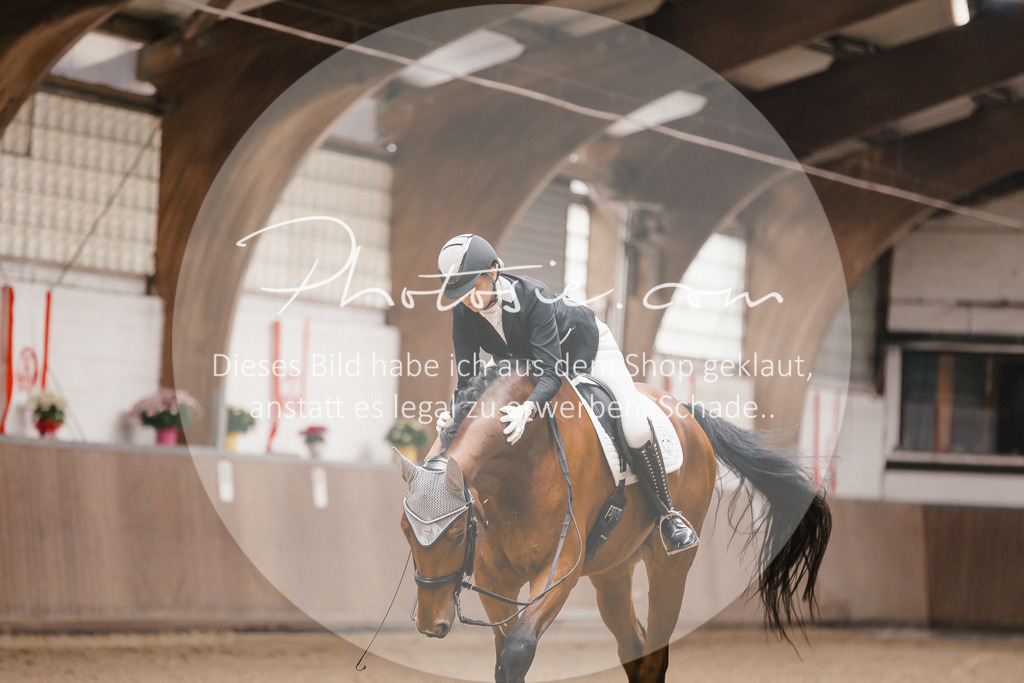 3I6A8118 | Stimmungsvolle Portraits und Reitsportfotografie im Ruhrgebiet und im Münsterland.

Pferdefotografie, Hundefotografie, Tierfotografie, Reportagen, Portraits von Tier und Mensch, Turnierfotografie in Bochum, Recklinghausen, Marl, Haltern am See, Dülmen.. - Realisiert mit Pictrs.com