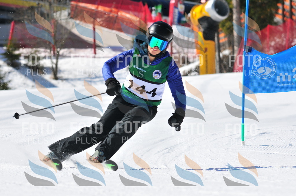 C3981 | holidayphoto