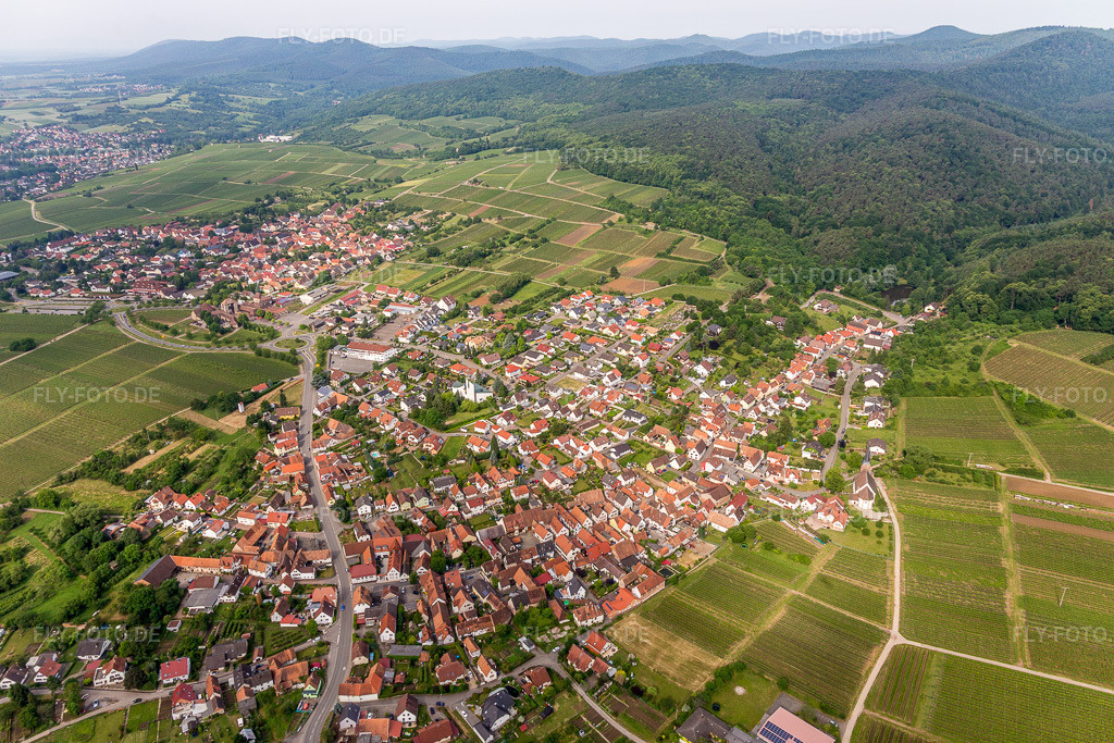 Luftbild: Weinbergen und Wald in Rechtenbach im Ortsteil Rechtenbach in Schweigen-Rechtenbach im Bundesland Rheinland-Pfalz in Deutschland. Foto: IMG_100670.jpg vom 05.06.2017 durch Werner Riehm/FLY-FOTO.de