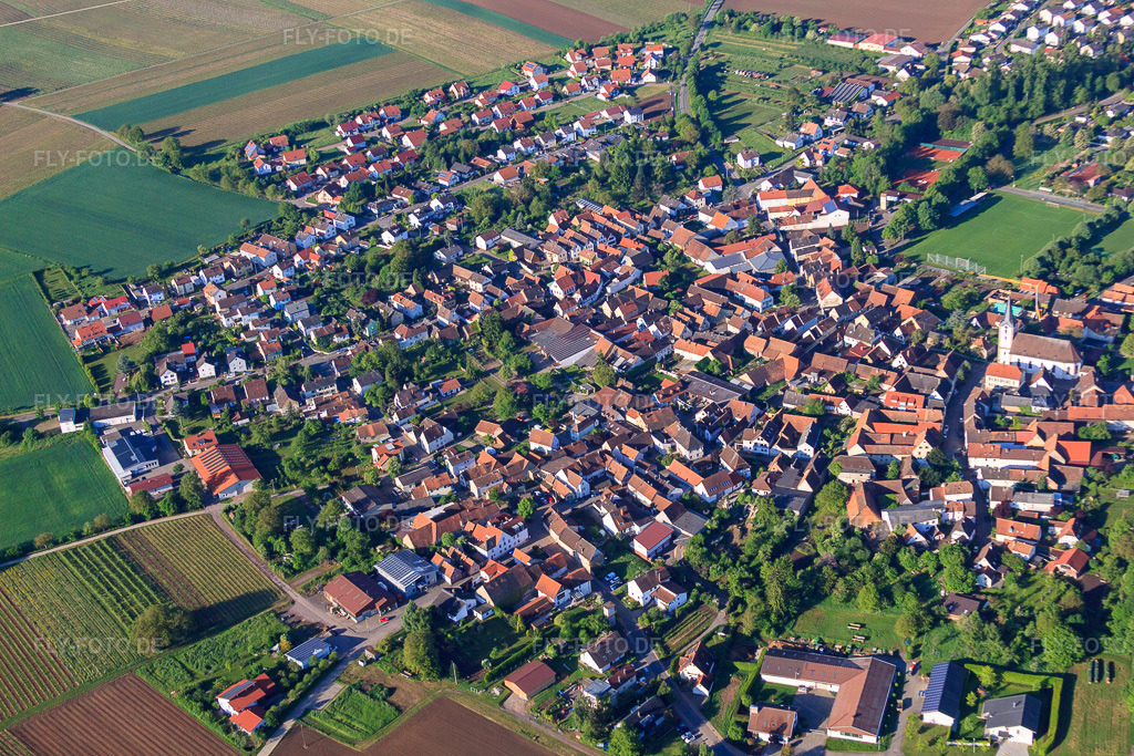 Luftbild: Dorfansicht am Morgen von Norden im Ortsteil Mörzheim in Landau im Bundesland Rheinland-Pfalz in Deutschland. Foto: IMG_64745.jpg vom 04.05.2014 durch Werner Riehm/FLY-FOTO.de