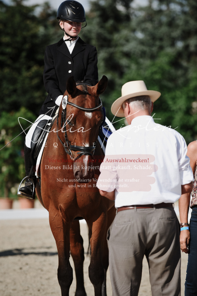 DSC_0205 | Pferde- und Turnierfotografie in Westsachsen. Pferdeportraits, Auftragszeichnungen und intuitive Kunst.