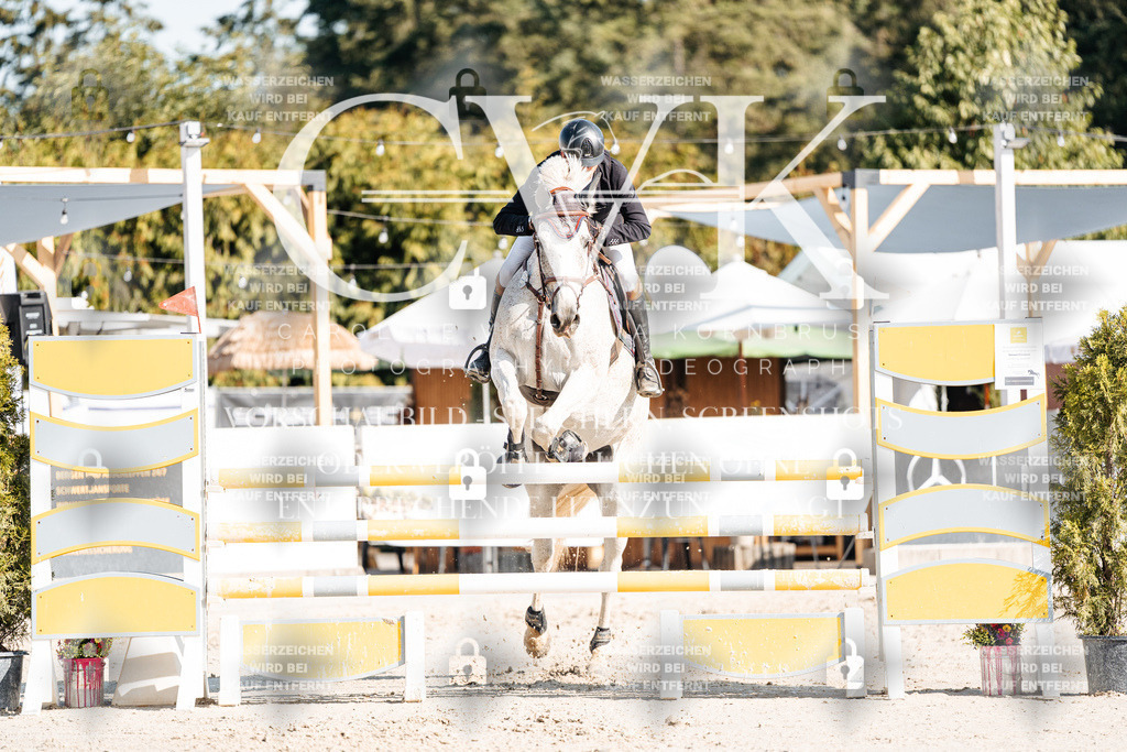 CK901974 | Turnierfotografie Pferdefotografie Trier Rheinland-Pfalz Pferdesport Reitsport Tierfotografie Sportfotografie Pferdevideo Pferdevideografie Equestrianvideography equestrianphotography  - Realisiert mit Pictrs.com