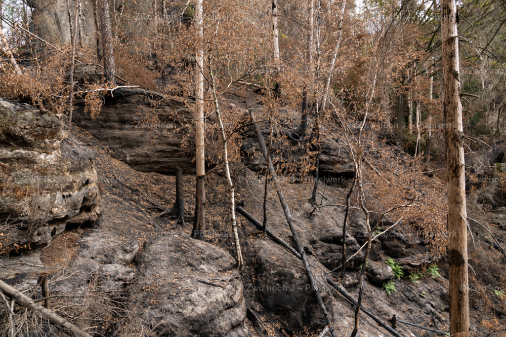 Obere_Affensteinpromenade_Siegfried_Bergfried_Felsen_Waldbrand | 2022-09-02_Waldbrandgebiete_2 - Realisiert mit Pictrs.com