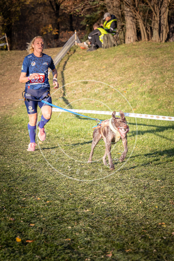 CaniXpix_0L8A0579 | Hundefotografie, Tierfotograf, Pfotenfotografie, Fotoshooting Hund, Hunde Portrait, Hundesport, Hundeportraits, Heideshooting, Hunde, Sportfotograf, Hundefotograf, Turnierhundsport, THS,  - Realisiert mit Pictrs.com