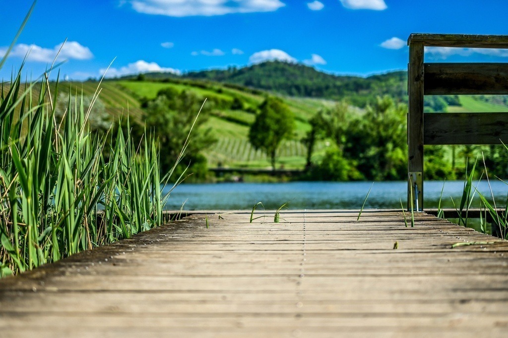 PSX_20250528_084028-01 | Kaufen sie online außergewöhnliche Fotografien auf Leinwand Acrylglas Fotoprint Aludibond von holgerweigeltfotografie - Realized with Pictrs.com