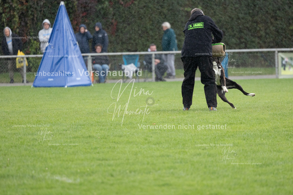 _16A7147 | Einzigartige Fotos von Hunden & Menschen –Actionfotos, Portraits, Vereinsaufnahmen & Paarshootings – authentisch, lebendig & mit Herz.