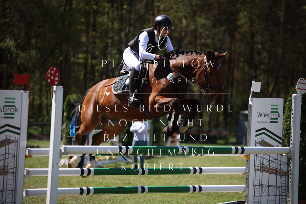 IMGT0996 | pl-fotografie