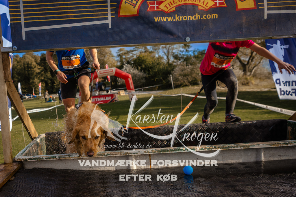 1550_ZZ97317 | kk-dogfotos