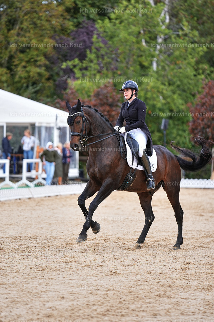 10-193-ST.GEORG SPECIAL -Marixx-3388 | working equitationturnier fotograf videograf stoibphotography marixx film working equitation deutschland reitsport turnierfotografie eventfotografie equestrian events