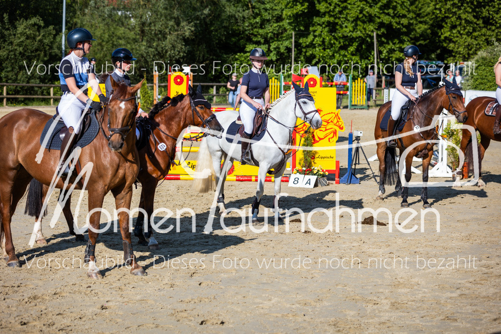 Donop24-ASpr-115 | MomenTaufnahmen Pferdesportfotos