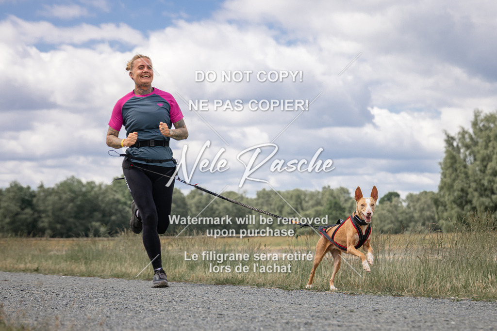 nelerasche_BuHu2026_SaCC1100-1200_178 | nelerasche