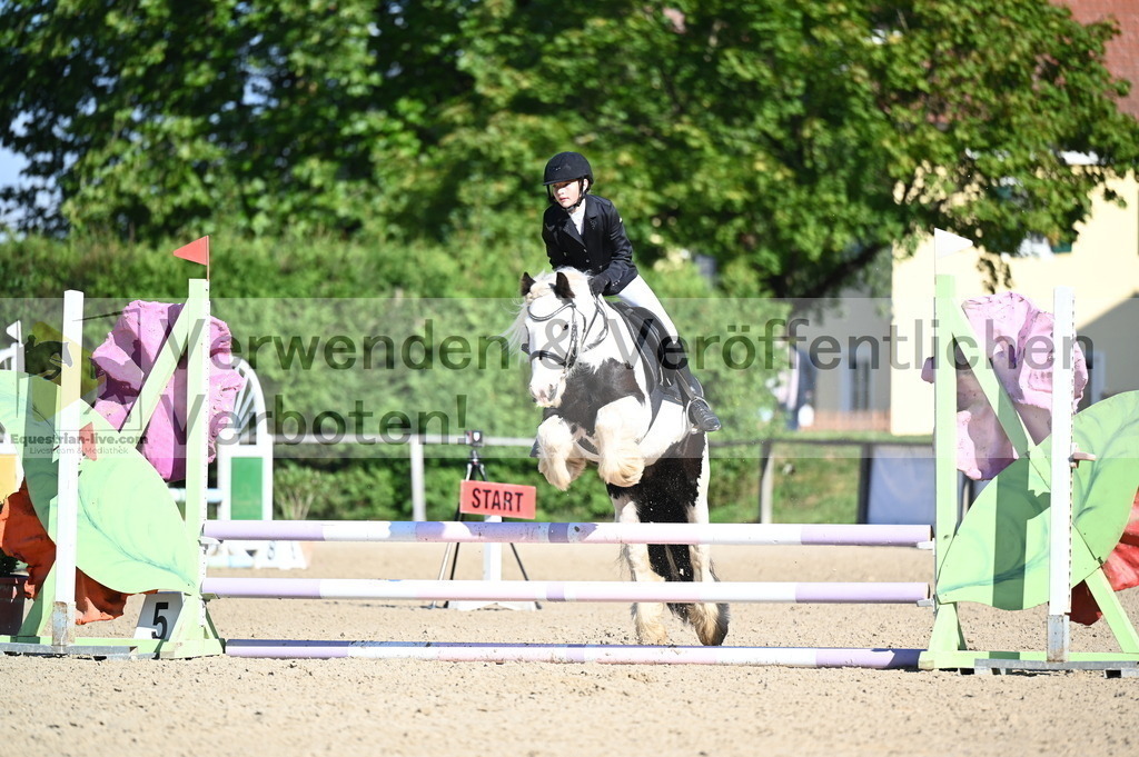 DSC_7896 | equestrian-live-com
