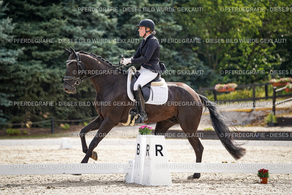 DSC07174 | Pferdegrafie