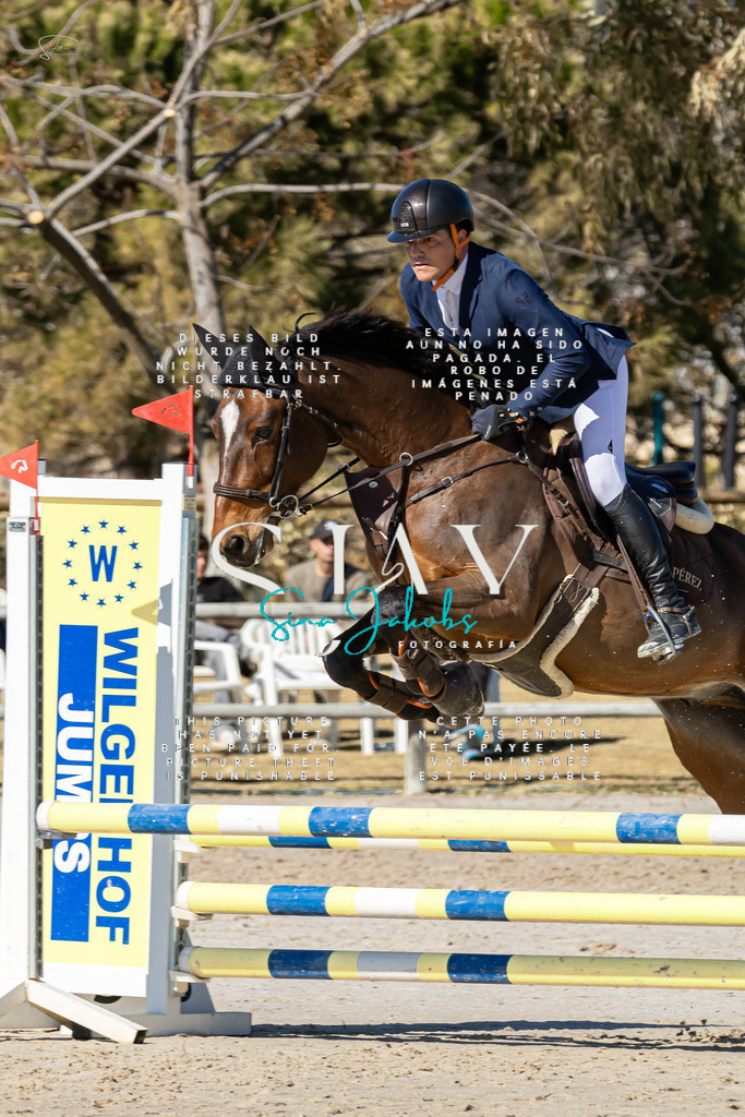 IMG_9106 | s-jay-photography - Realisiert mit Pictrs.com