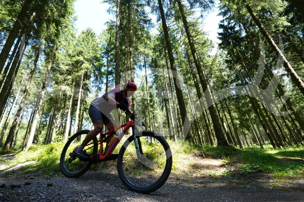 FC100916 | Fotogalerie der Treibjagd im Dunkelwald - Dein MTB Etappenrennen im Erzgebirge - Realisiert mit Pictrs.com