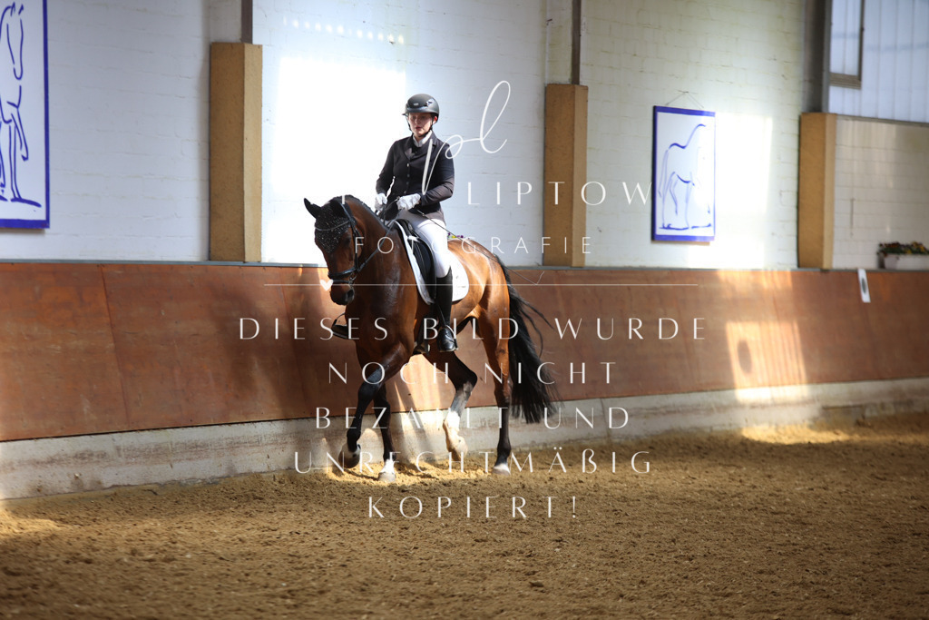 IMGT5026 | pl-fotografie