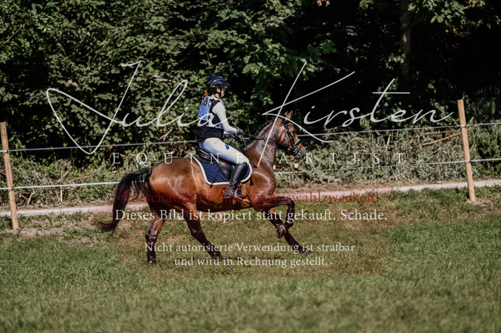 DSC_1306 | Pferde- und Turnierfotografie in Westsachsen. Pferdeportraits, Auftragszeichnungen und intuitive Kunst.