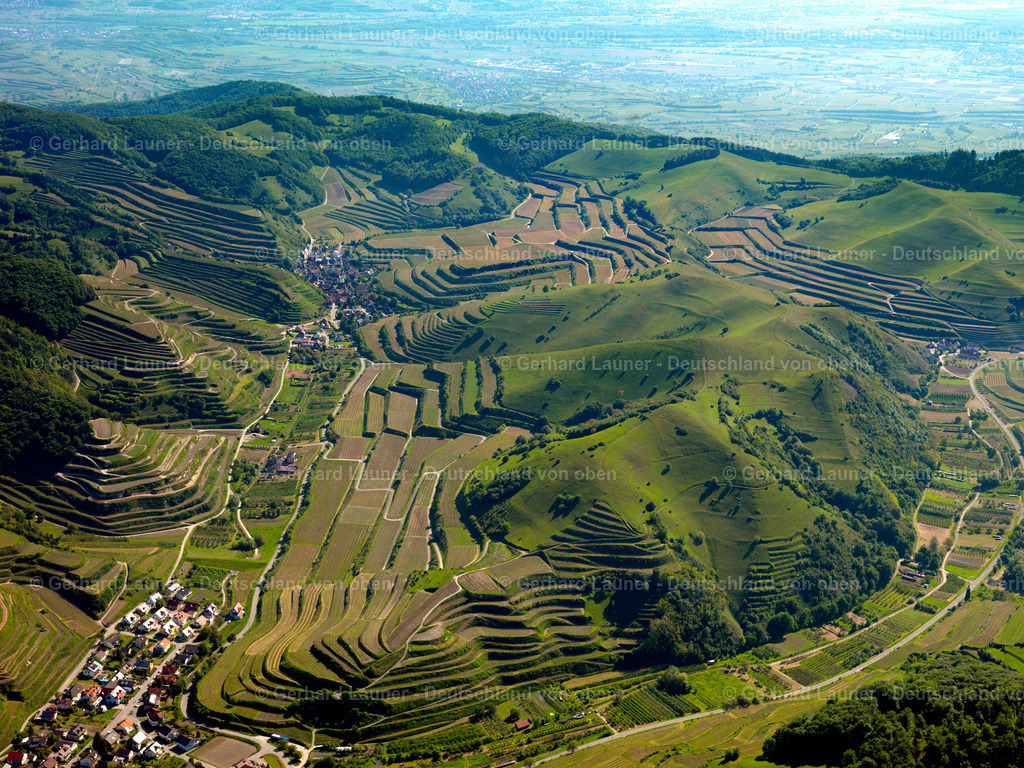 3096263 | Weinbergsterrassen am Badberg, Kaiserstuhl