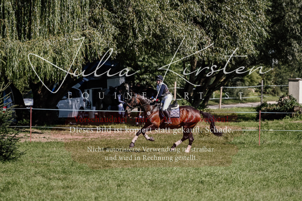 DSC_1828 | Pferde- und Turnierfotografie in Westsachsen. Pferdeportraits, Auftragszeichnungen und intuitive Kunst.