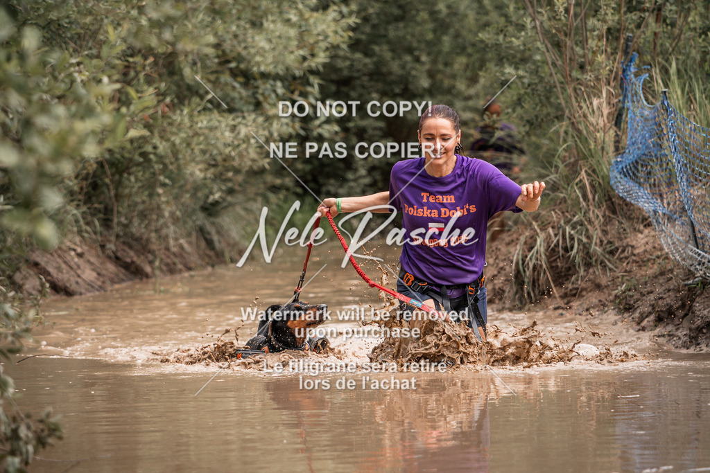 nelerasche_Hoope2026_So1400-1430_18 | nelerasche
