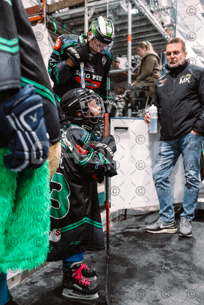 Alligators_vs_Stuttgart_16_11_2025-23 | Höchstadt Alligators Fotogalerie: Eishockey-Action aus Franken. Professionelle Spielfotos, Portraits & Stadionbilder zum Download. Jetzt entdecken! - Realisiert mit Pictrs.com