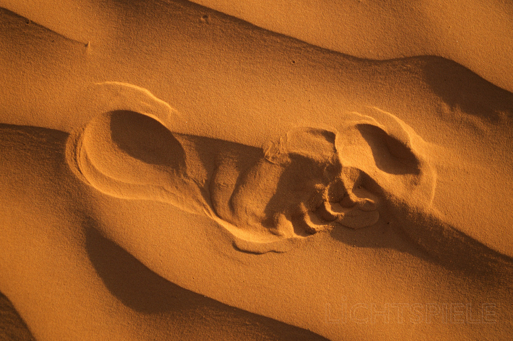 Fußabdruck | Fußabdruck im Wüstensand - Realisiert mit Pictrs.com