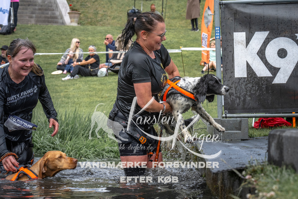 1142_ZZ93545 | kk-dogfotos