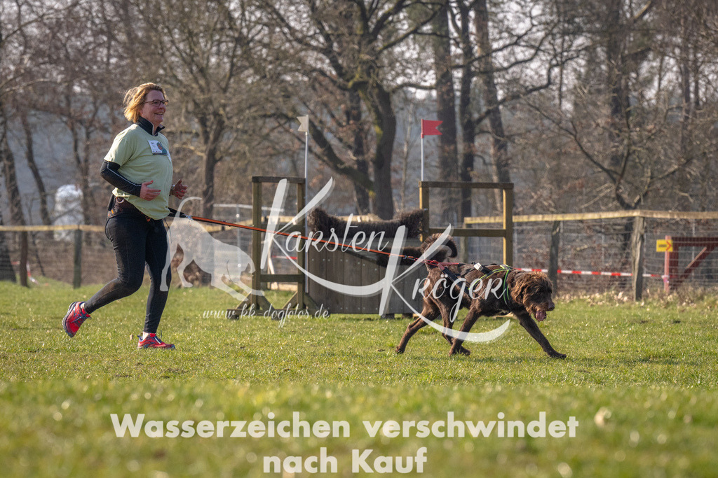 _ZZ93586 | kk-dogfotos