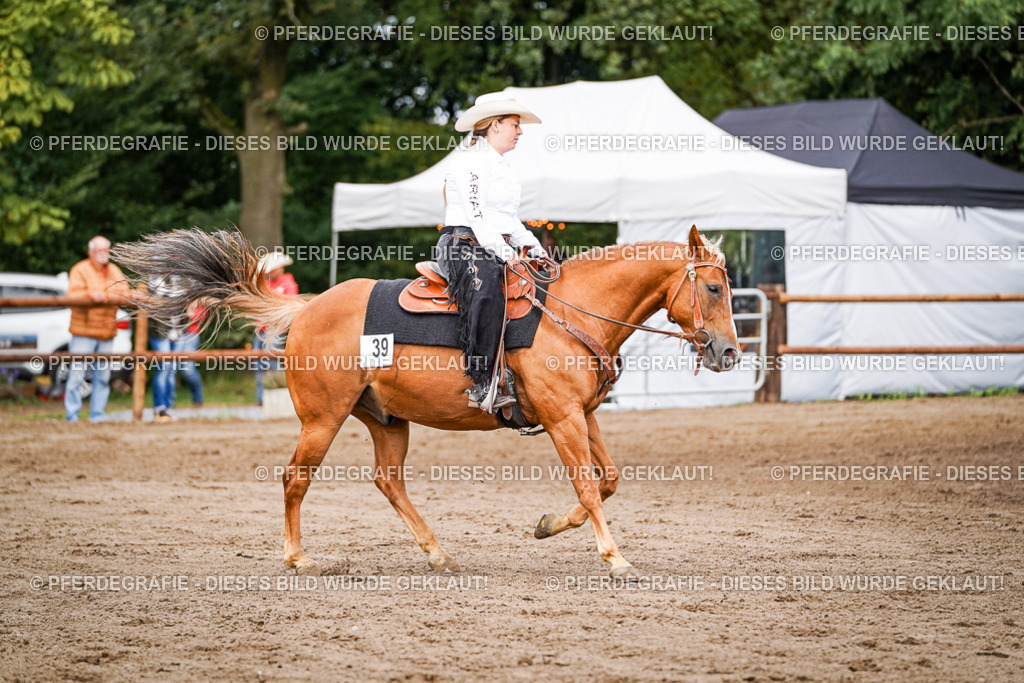 DSC06817 | Pferdegrafie