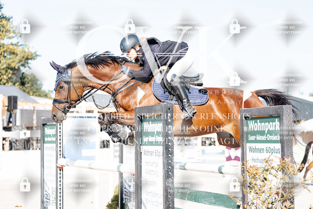 CK904233 | Turnierfotografie Pferdefotografie Trier Rheinland-Pfalz Pferdesport Reitsport Tierfotografie Sportfotografie Pferdevideo Pferdevideografie Equestrianvideography equestrianphotography  - Realisiert mit Pictrs.com
