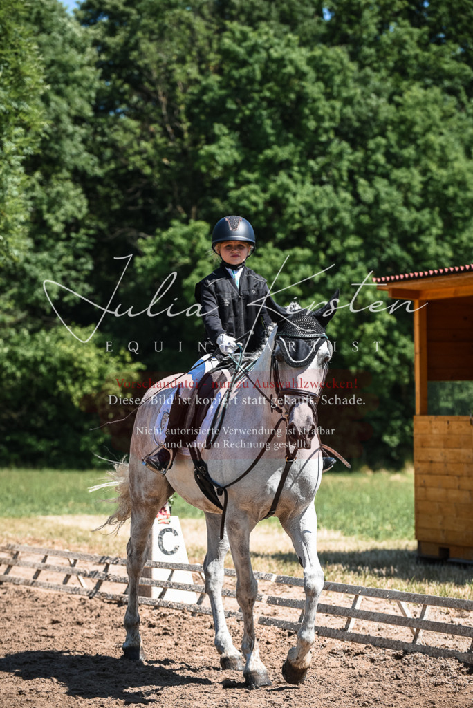 DSC_3086 | Pferde- und Turnierfotografie in Westsachsen. Pferdeportraits, Auftragszeichnungen und intuitive Kunst.