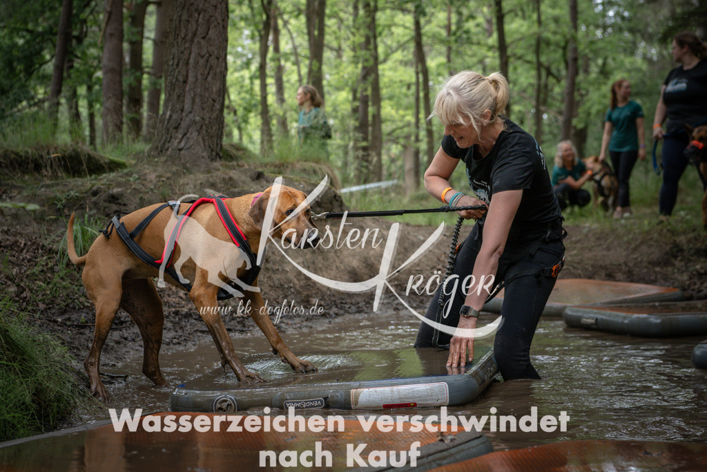1228_ZZ99339 | kk-dogfotos