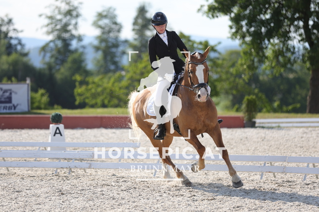 0P6A8883 | Willkommen bei Brunnmayr - Design & Fotografie – Ihrem Spezialisten für Reitturniere und Pferdeveranstaltungen in Oberösterreich, Salzburg und Bayern! Seit über 17 Jahren sind wir leidenschaftlich dabei.