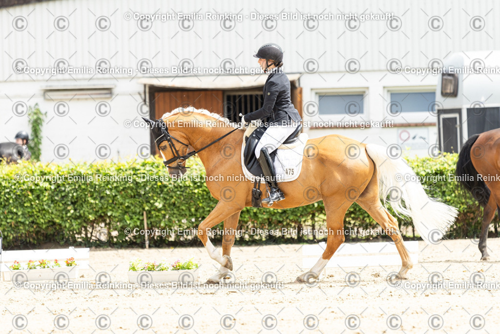 CL5A0242 | Emilia Reinking Fotografie - Realisiert mit Pictrs.com