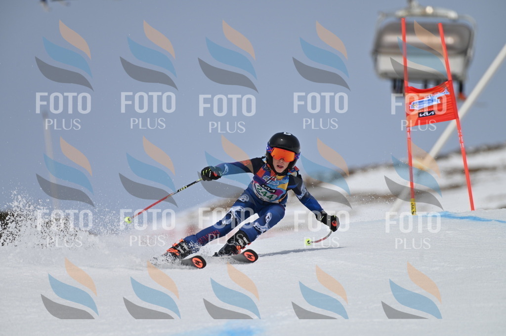 BGV_4825 | holidayphoto